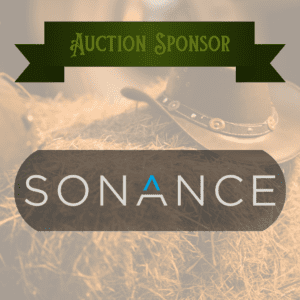 Sonance Garden